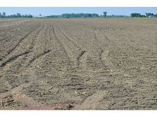 Property photo 49 - LAND AUCTION - 215+/- ACRES OFFERED IN 6 TRACTS IN VAN WERT COUNTY, OHIO